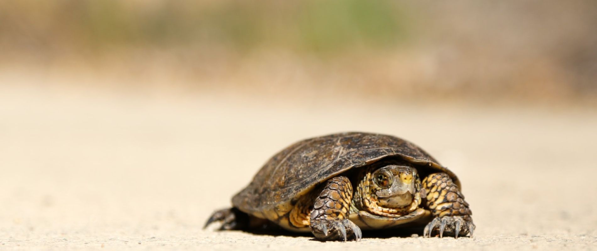 Is your IT system driving your growth – or slowing you down?